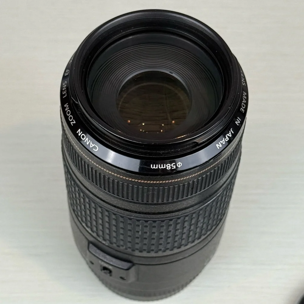 Canon EF 70-300mm f/4-5.6 IS USM Telephoto Zoom Lens